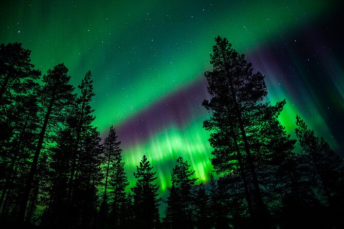 Family-Friendly: Northern Lights Adventure from Rovaniemi - Family-friendly pacing: 3 hours that work for kids