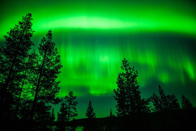 Family-Friendly: Northern Lights Adventure from Rovaniemi - Price and value: what you’re really paying for