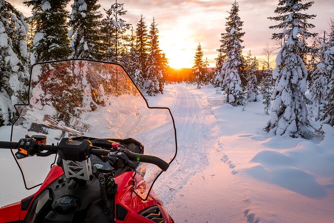 Family Snowmobile Safari in Rovaniemi - Family snowmobiling in Rovaniemi: the 3-hour rhythm you’ll feel