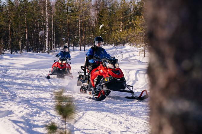 Family Snowmobiling in Rovaniemi, Apukka Resort - Price and Value: What $146.59 per Person Gets You