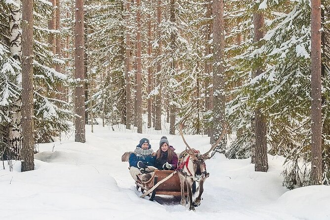 Forest Trail Reindeer Safari - The 2 km Reindeer Sleigh Ride: Comfort, Duration, and Photo Reality