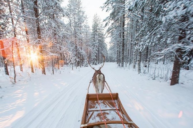 Forest Trail Reindeer Safari - Snacks, Hot Drinks, and Winter Clothes: Why These Details Matter