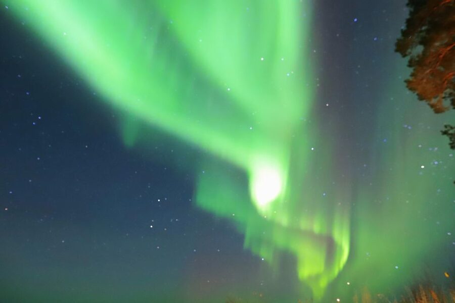 From Rovaniemi: Aurora Borealis Trip in Lapland Lakeside - Lakeside Darkness: Why This Aurora Setup Works Near Rovaniemi