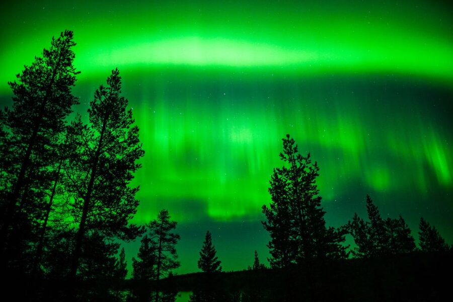 From Rovaniemi: Family-Friendly Northern Lights Tour - Photography help: bringing a camera without losing the night