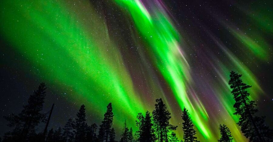 From Rovaniemi: Family-Friendly Northern Lights Tour - Winter gear and comfort: what you get vs. what you should still wear