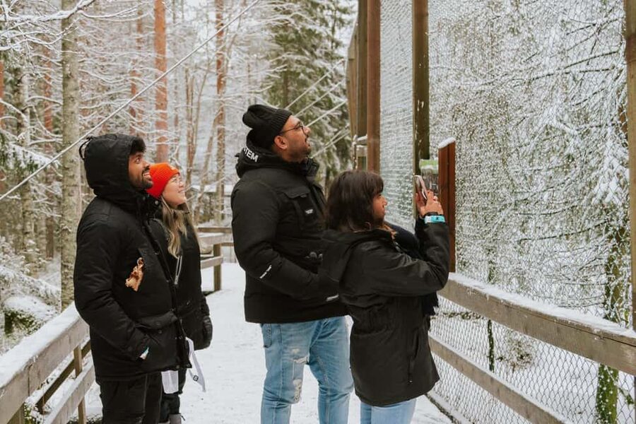 From Rovaniemi: Family Friendly Visit to Ranua Wildlife Park - Key highlights in plain English