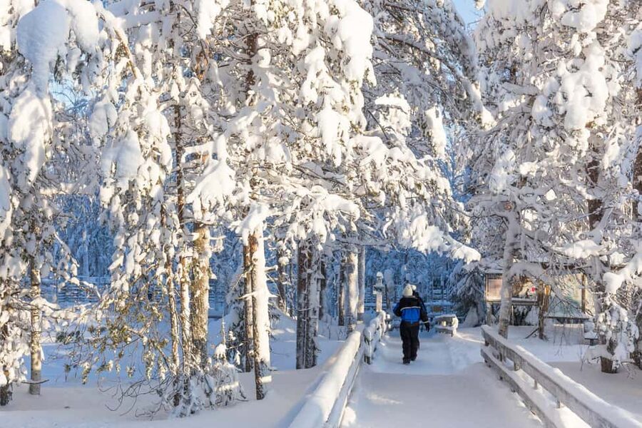 From Rovaniemi: Family Friendly Visit to Ranua Wildlife Park - Polar bears and arctic foxes: the animals you’re really coming for
