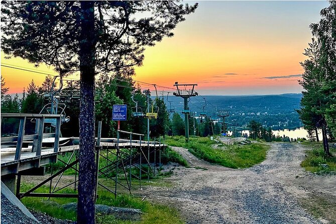 From Rovaniemi: Full Day Tour to Lapland's Attractions - Ranua Zoo Walk: Arctic Animals and Included Admission