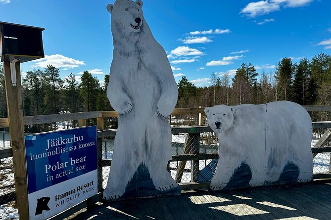 From Rovaniemi: Full Day Tour to Lapland's Attractions - Vikaköngäs Nature Trail and Peace: The Hike That Changes the Tempo