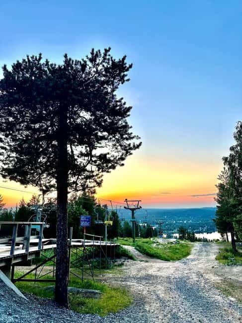 From Rovaniemi: Full-Day Tour to Lapland's Best Attractions - A Summer Day Tour with real variety (and a smart time plan)