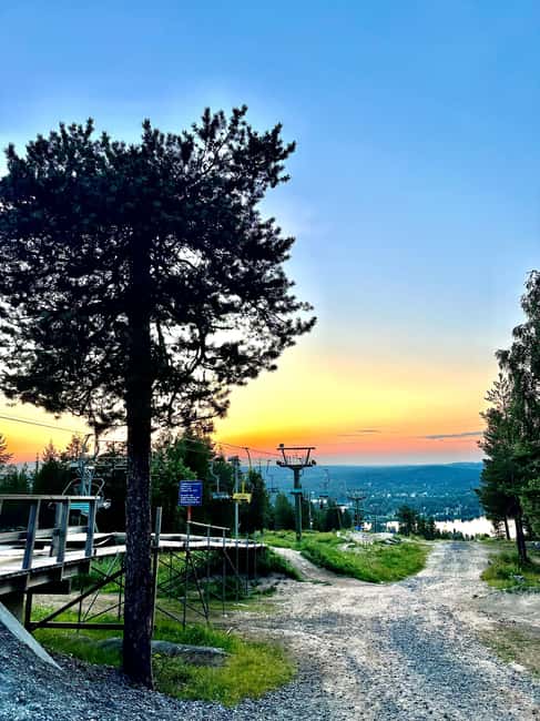 From Rovaniemi: Full-Day Tour to Lapland's Best Attractions - Lunch buffet and coffee break that keeps the day moving