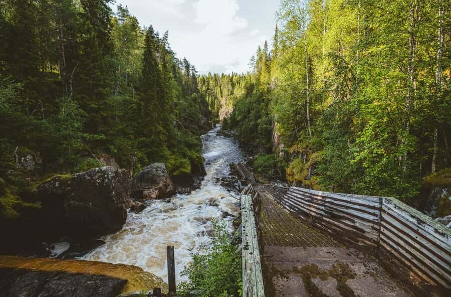 From Rovaniemi: Full-Day Tour to Lapland's Best Attractions - Auttiköngäs Waterfalls and Vikaköngäs Nature Trail: where the walking earns its keep