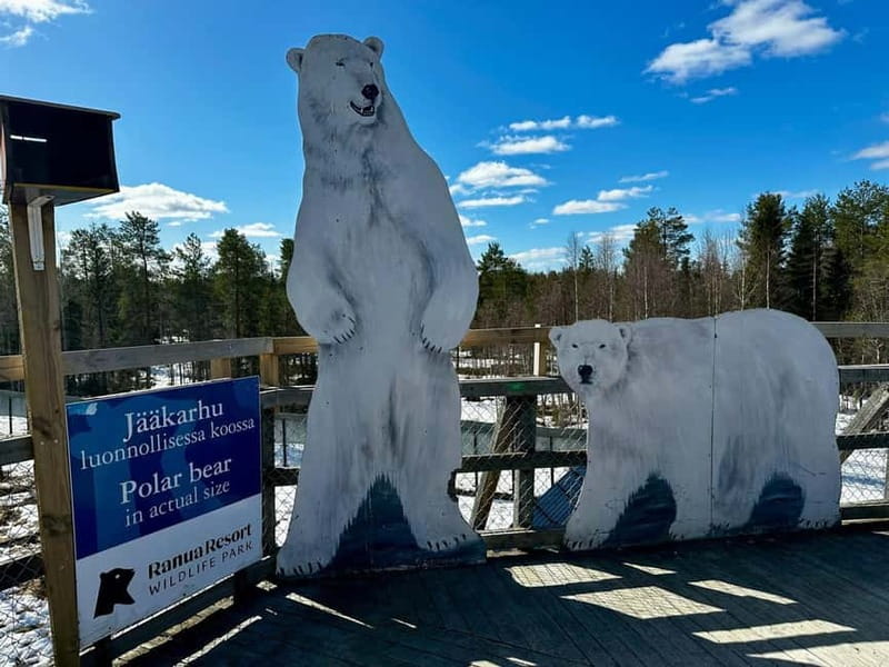 From Rovaniemi: Full-Day Tour to Lapland's Best Attractions - Midnight Sun from a hill: the late-day payoff