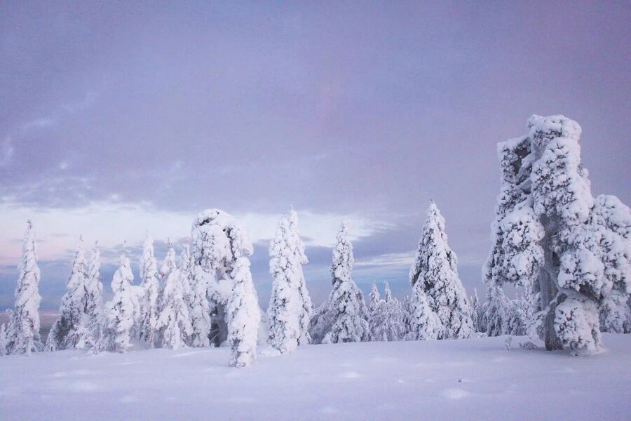 From Rovaniemi: Guided Lapland Snowmobile Adventure - Gear That Actually Works: What’s Included and What You Still Need