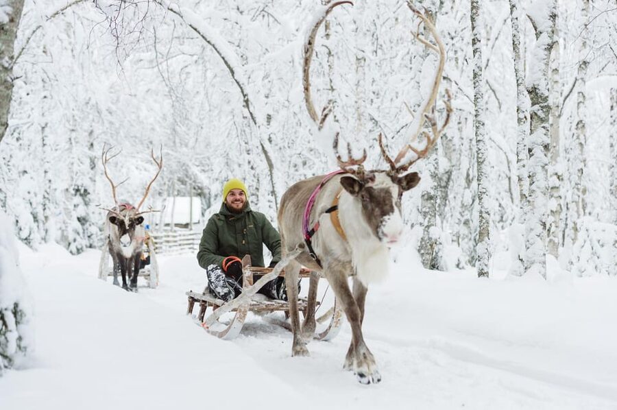 From Rovaniemi: Husky and Reindeer farm with sled ride - Husky farm welcome: safety, sled ride, and that instant winter joy