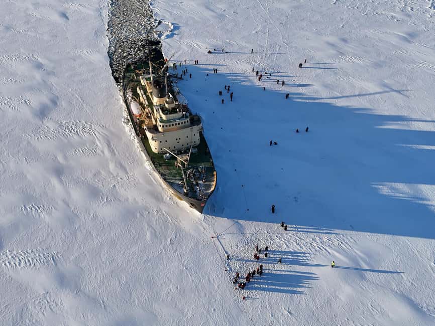 From Rovaniemi: Icebreaker Sampo Cruise with Ice Floating - Ice floating in Bothnian Bay: the standout activity with clear limits