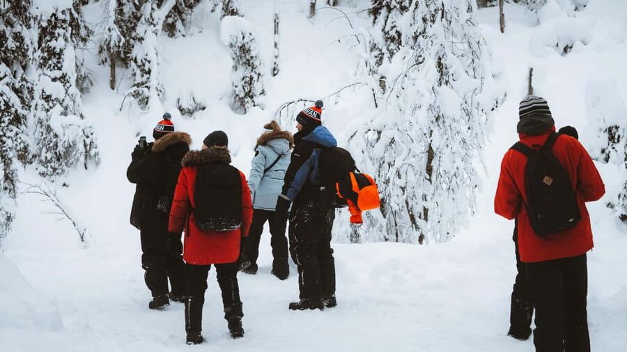 From Rovaniemi: Korouoma & Auttiköngäs Frozen Waterfalls - The Guides Matter: Names You Might Hear and What They Add