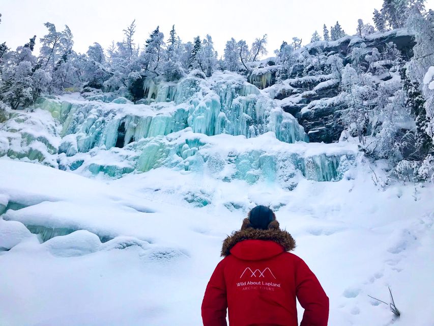 From Rovaniemi: Korouoma Canyon and Frozen Waterfalls Tour - Wildlife spotting: the guide’s job is to help you see more