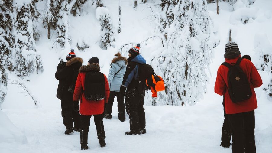 From Rovaniemi: Korouoma Canyon and Frozen Waterfalls Tour - Who this tour suits best (and who should skip it)