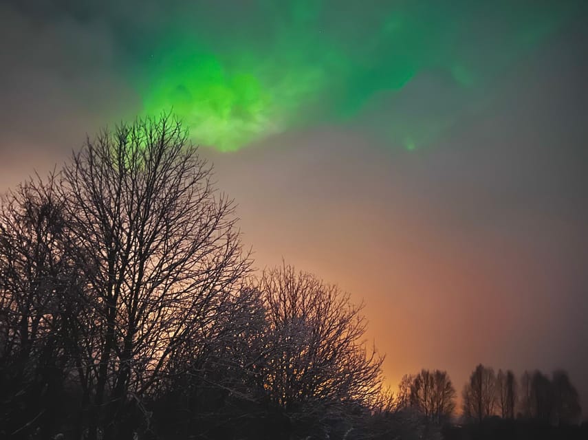 From Rovaniemi: Lapland Aurora Hunt with Barbeque - Key things that make this tour worth your attention