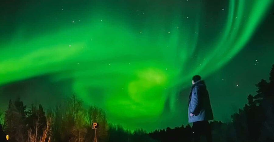 From Rovaniemi: Lapland Aurora Hunt with Barbeque - Why this Rovaniemi Aurora Hunt feels efficient