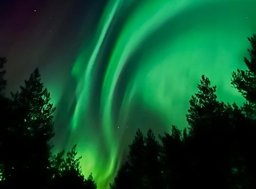 From Rovaniemi: Lapland Aurora Hunt with Barbeque - The 8:00 PM rhythm, and how the forecast changes your night