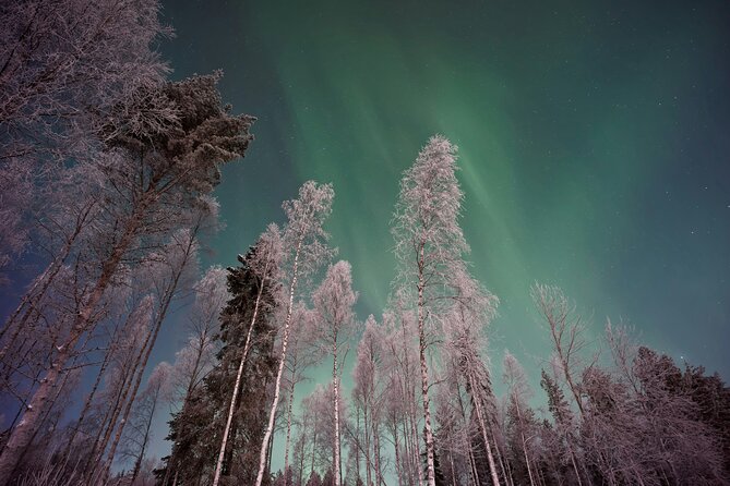 From Rovaniemi: Northern Lights Tour with Campfire Snacks - Aurora at a Campfire: What You’re Actually Buying
