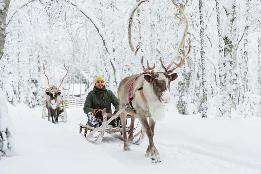 From Rovaniemi: Reindeer Farm Visit with Sleigh Ride - Meeting the Sámi reindeer farm owners and learning the real role of herding