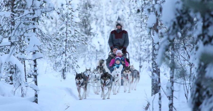 From Rovaniemi: Self-Driven 10km Husky Sled Ride - Key things to know before you go