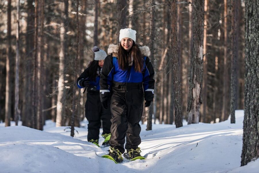 From Rovaniemi: Snowshoeing and Ice Fishing Tour - The 20-Kilometer Drive North and the Start of Your Arctic Day