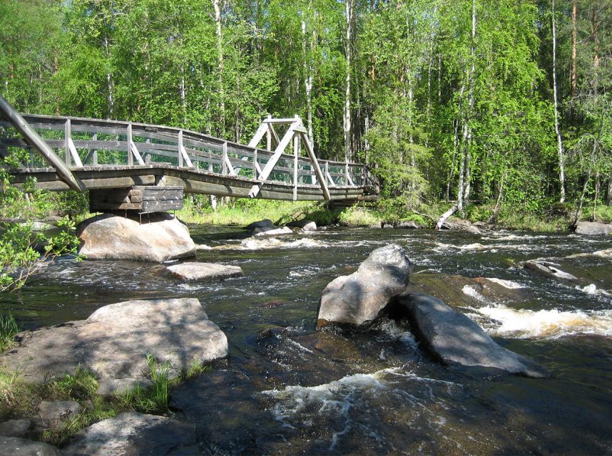 From Rovaniemi: Vikaköngäs Forest Hiking Tour - From Rovaniemi to Vikaköngäs: the smooth start that matters