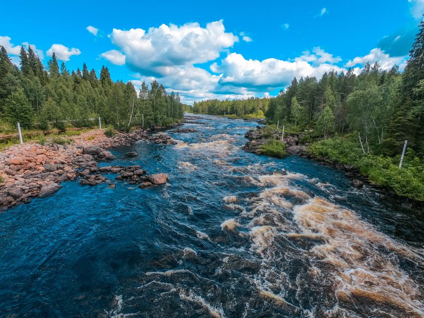 From Rovaniemi: Vikaköngäs Forest Hiking Tour - The wooden hanging bridge: where the park starts to feel dramatic