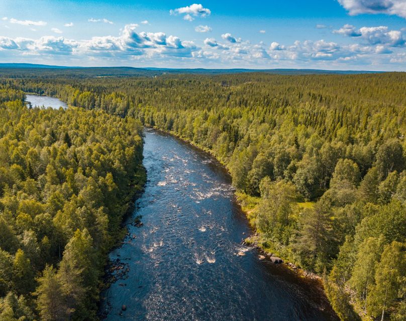 From Rovaniemi: Vikaköngäs Forest Hiking Tour - Price and value: what $123 buys you (and what it doesn’t)