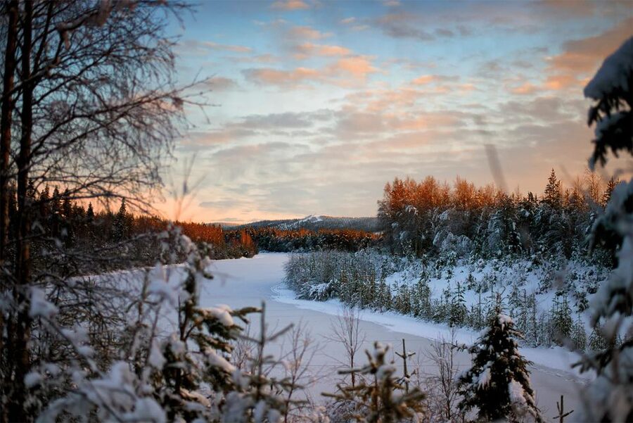 From Rovaniemi: Vikaköngäs Forest Hiking Tour - Who should book this and who should pass