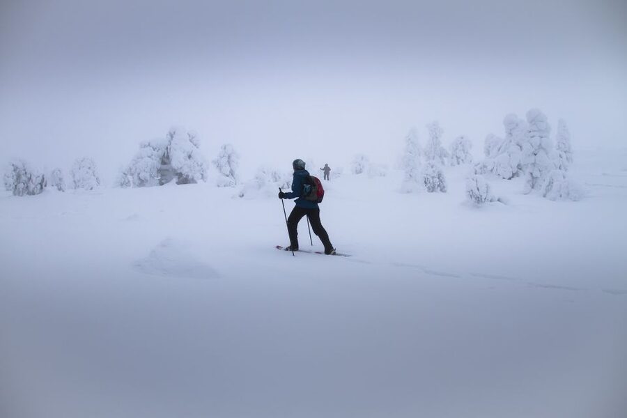 From Rovaniemi: Winter Wonderland Hike with a Hot Drink - Key things you’ll notice on this hike