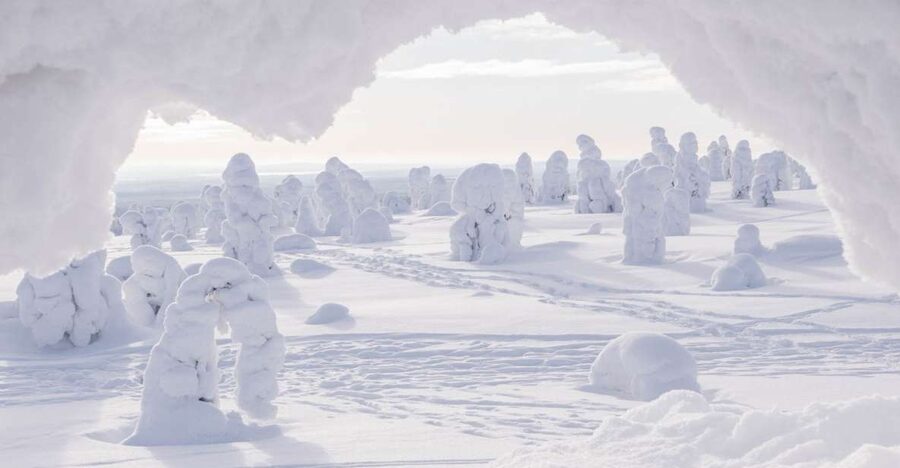 From Rovaniemi: Winter Wonderland Hike with a Hot Drink - Cookies, hot drink, and the hut stop you’ll actually remember