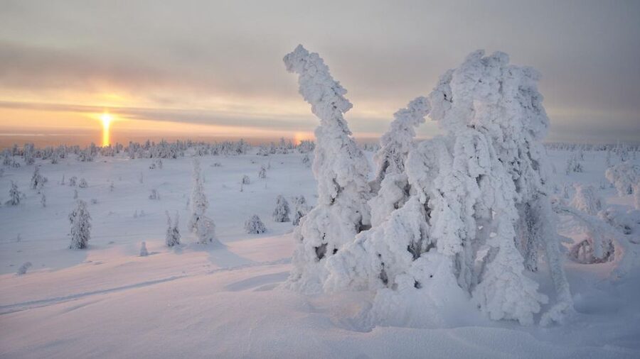 From Rovaniemi: Winter Wonderland Hike with a Hot Drink - Winter gear reality: what’s included, what costs extra