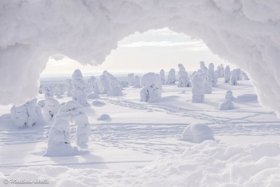 From Rovaniemi: Winter Wonderland Hike with a Hot Drink - Who this tour suits best