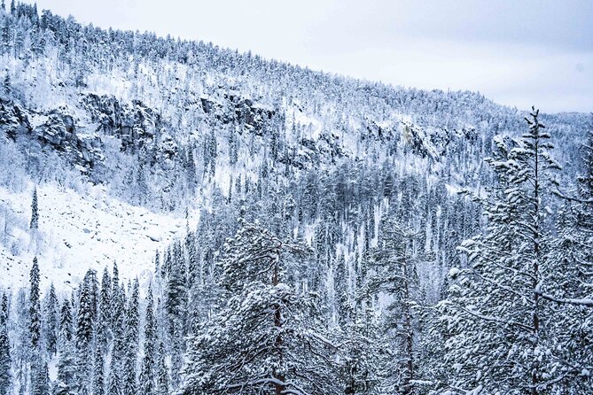 Frozen Waterfalls of Korouoma Canyon tour with Pro Photos & BBQ - BBQ Lunch in the Wild: Warm Food After Cold Work