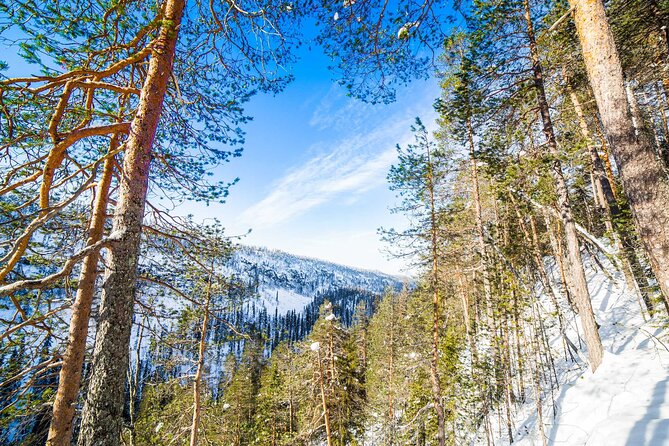 Frozen Waterfalls of Korouoma Canyon tour with Pro Photos & BBQ - Edited Photos and the Value of Real Photo Direction