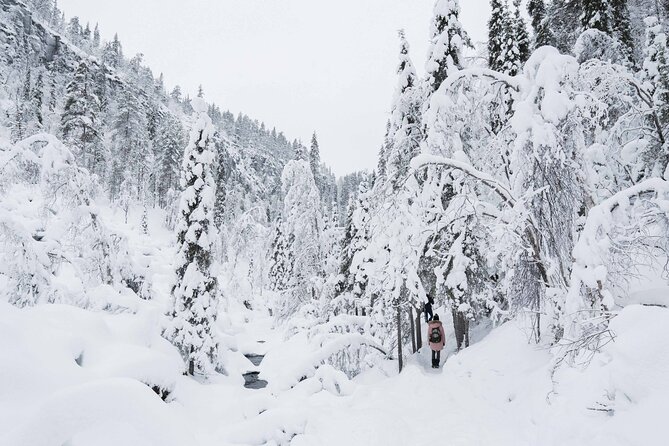 Frozen Waterfalls of Korouoma Canyon tour with Pro Photos & BBQ - Who This Tour Suits Best (and Who Might Struggle)