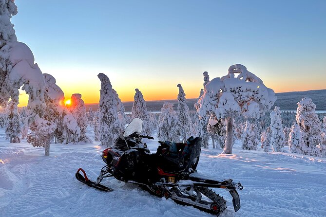 Full Day Activity with Snowmobiles in Rovaniemi - Key highlights I’d circle on your plan