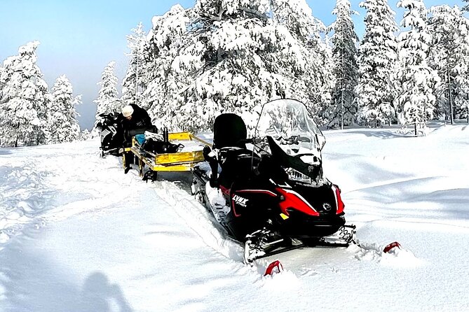 Full Day Activity with Snowmobiles in Rovaniemi - Who This Tour Really Suits in Winter