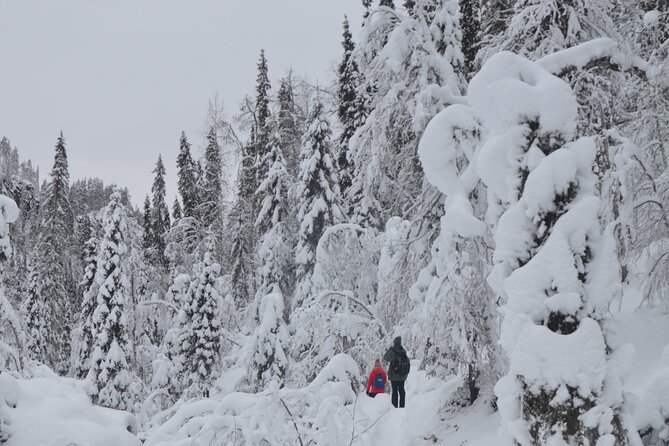 Full Day Hiking to Korouoma Canyon & Frozen Waterfalls - How the Guide Keeps the Day Smooth in Arctic Conditions