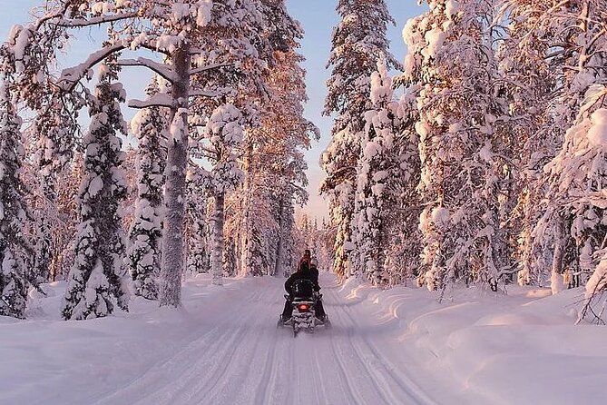 Full Day Snowmobile Safari - Guides and group size: small enough to feel personal