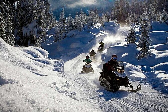 Full Day Snowmobile Safari - Safety basics you should plan around