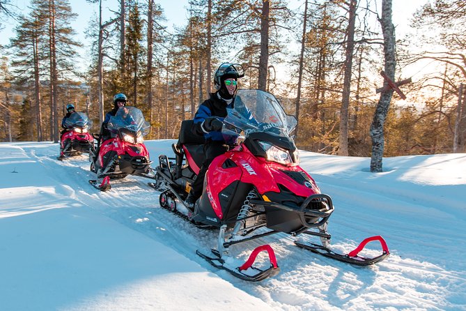 Full Day Snowmobile Safari into the Lappish Wilderness in Rovaniemi - Who Should Choose This Safari (and Who Should Reconsider)