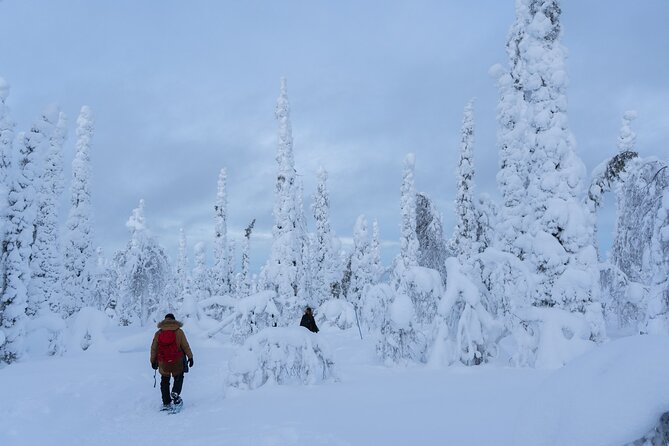 Full-Day Snowshoeing Adventure in Amethyst Mine Pyhä Luosto - The 7.5-Hour Flow: What the Day Feels Like From Start to Finish