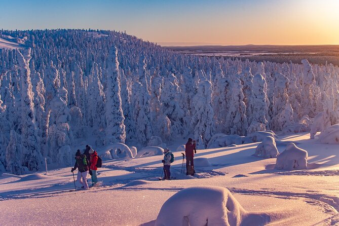 Full-Day Snowshoeing Adventure in Amethyst Mine Pyhä Luosto - The Hilltop Walk to Lampivaara: How the Hike Sets Up the Mine Visit