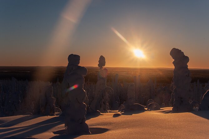 Full-Day Snowshoeing Adventure in Amethyst Mine Pyhä Luosto - Pendolino to the Amethyst Mine: A Lapland-Only Kind of Arrival
